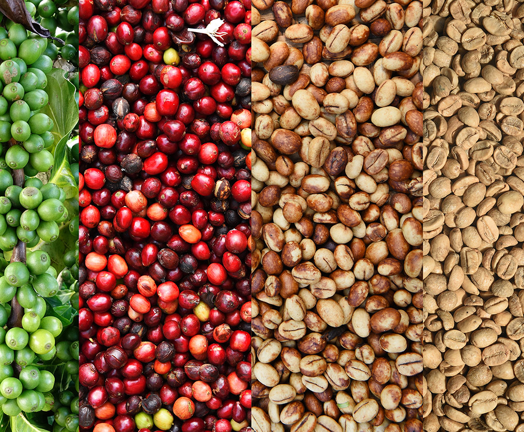 Superior Beverage Group